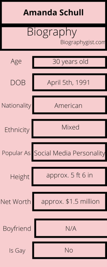 Amanda Schull Biography Infographic