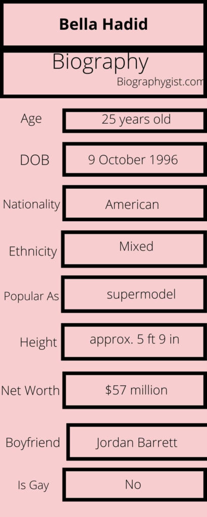Bella Hadid Biography Infographic