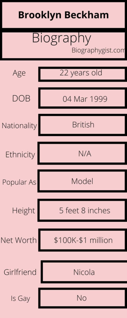 Brooklyn Beckham Biography Infographic