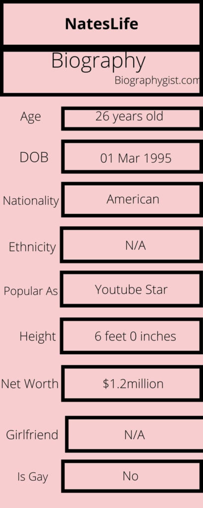 NatesLife Biography Infographic