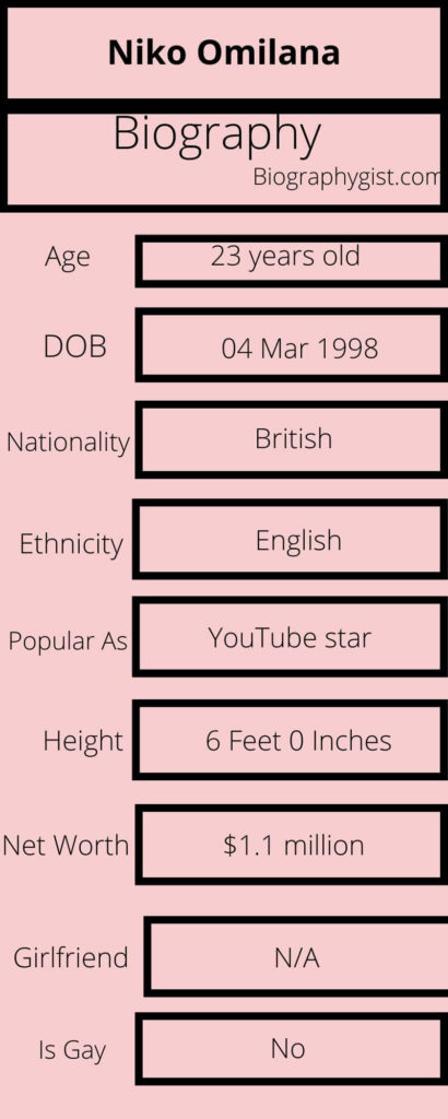 Niko Omilana Biography Infographic