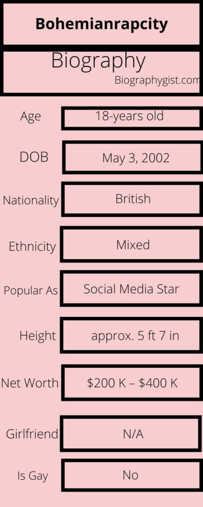 Bohemianrapcity Biography Infographic