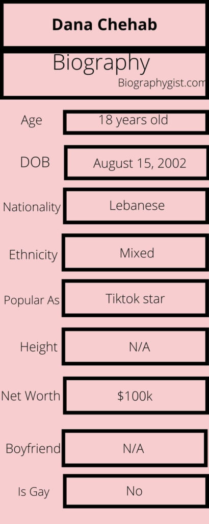 Dana Chehab Biography Infographic