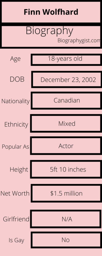 Finn Wolfhard Biography Infographic
