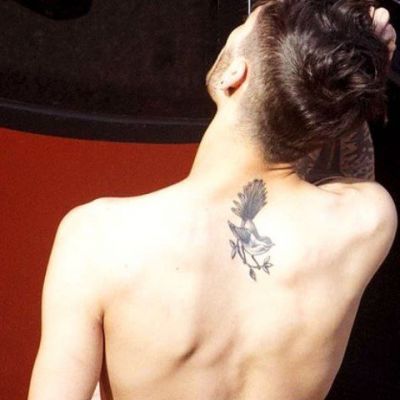 Zayn Malik