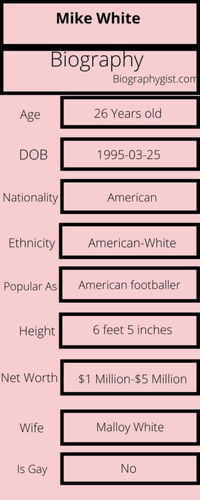 Mike White Biography Infographic