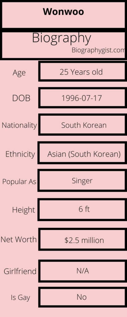 Wonwoo Biography Infographic