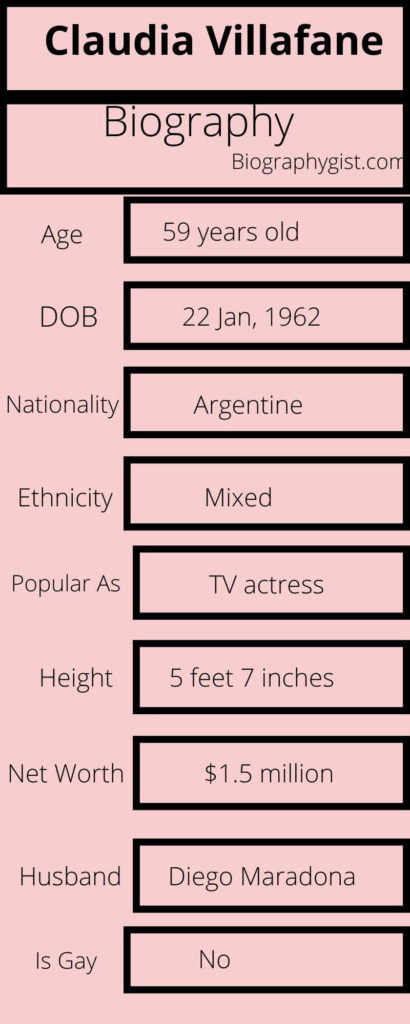 Claudia Villafane Biography Infographic