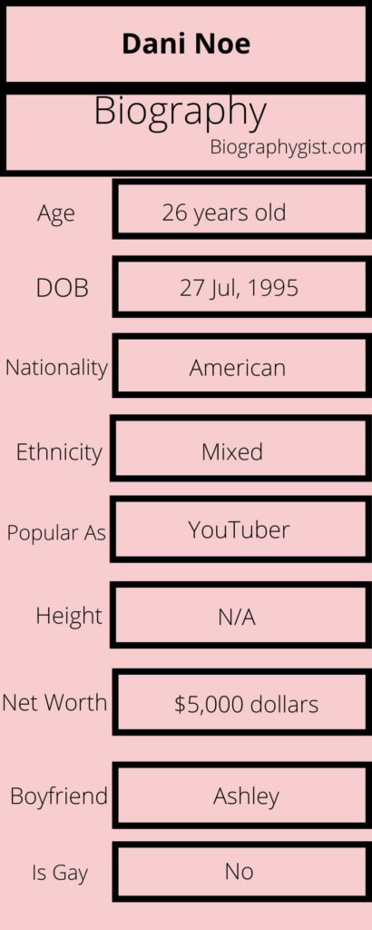 Dani Noe Biography Infographic