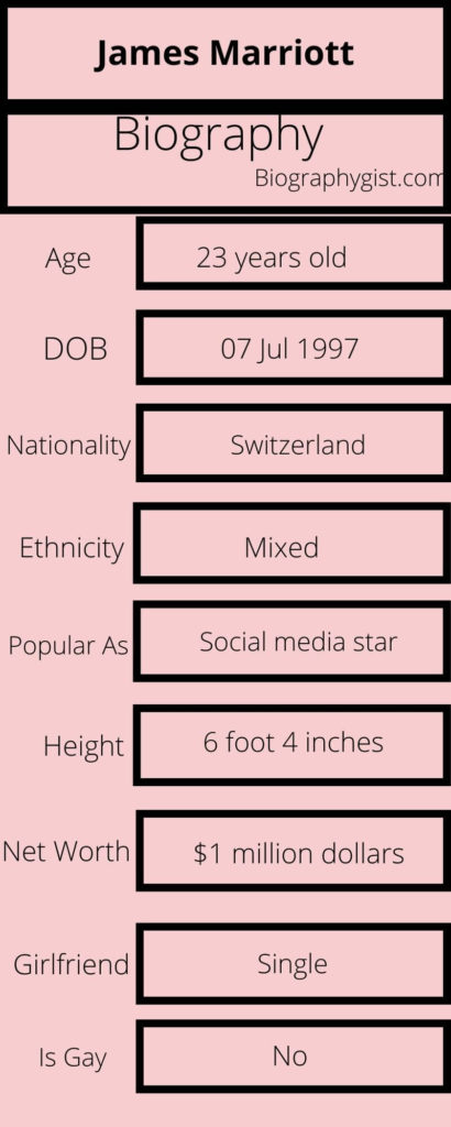 James Marriott Biography Infographic