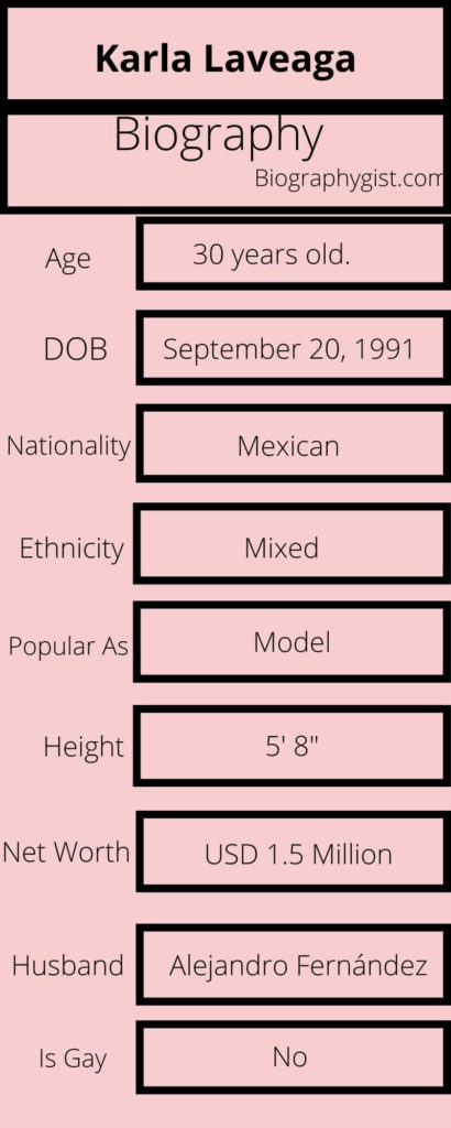 Karla Laveaga Biography Infographic