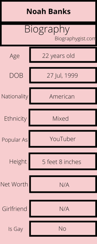 Noah Banks Biography Infographic