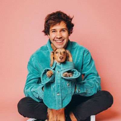 David Dobrik