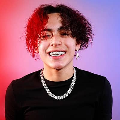 Suigeneris net worth