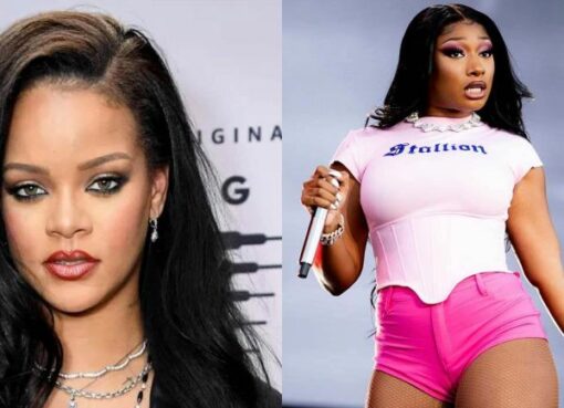 Rihanna Unfollowed Megan Thee Stallion