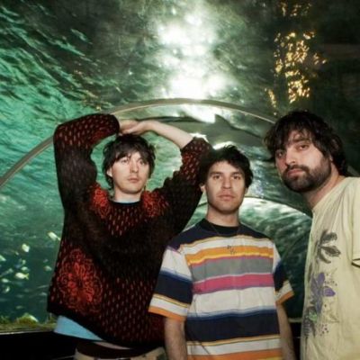 Animal Collective