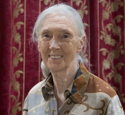 Jane Goodall