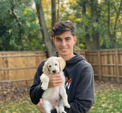 kai havertz