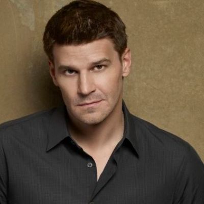 David Boreanaz