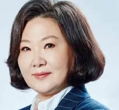 Kim Hae-sook