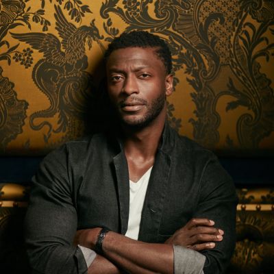 Aldis Hodge