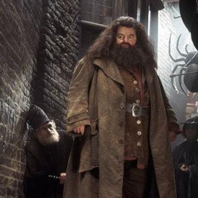 Rubeus Hagrid
