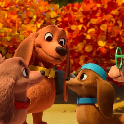 Pretzels And The Puppies