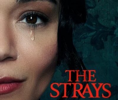 the strays